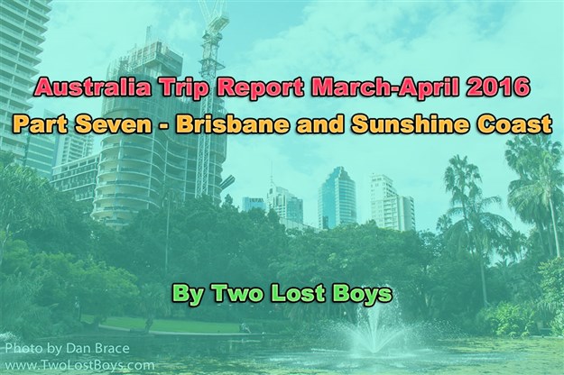 Australia March-April 2016 Trip Report, Part 7 - Brisbane and Sunshine Coast