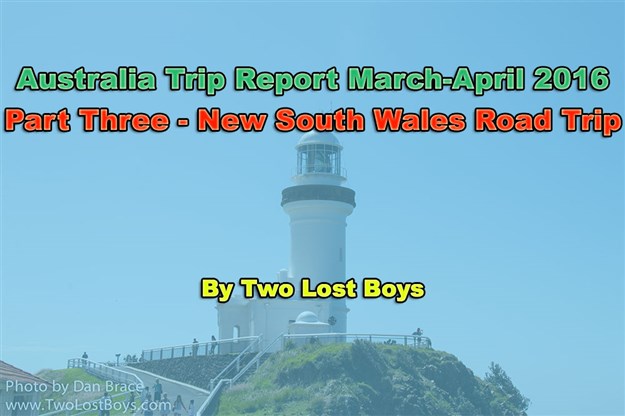 Australia March-April 2016 Trip Report, Part 3 - New South Wales Road Trip