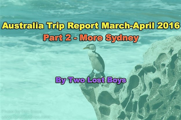 Australia March-April 2016 Trip Report, Part 2 - More Sydney