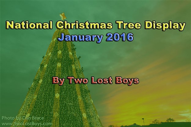 Visiting the National Christmas Trees, January 2016